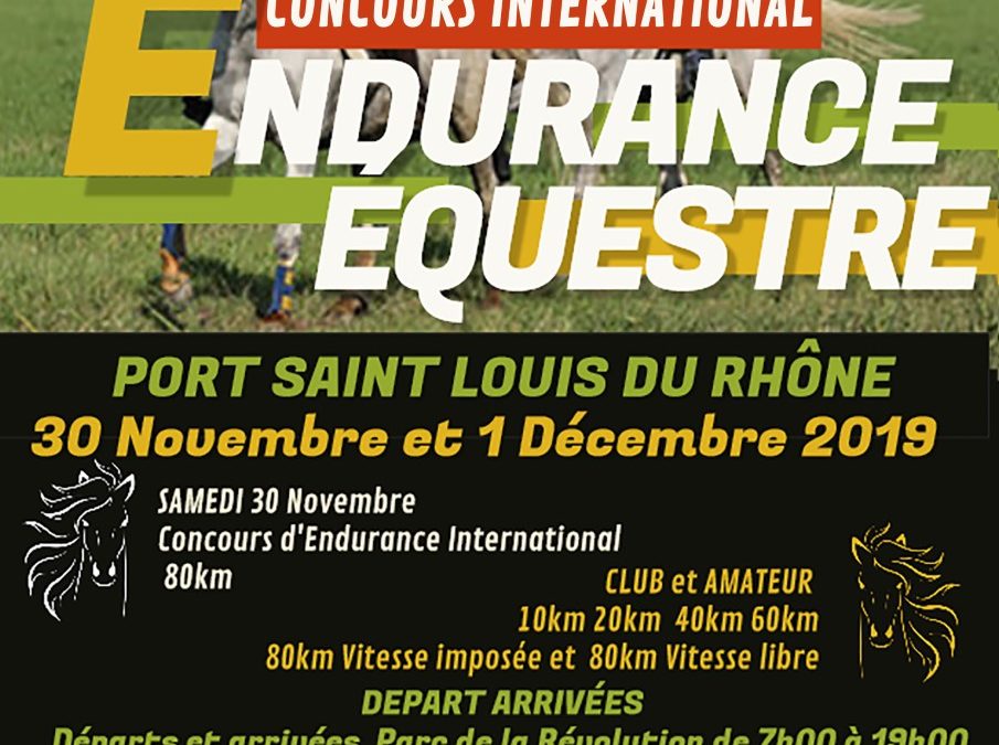 Course de Port St Louis du Rhône (13)