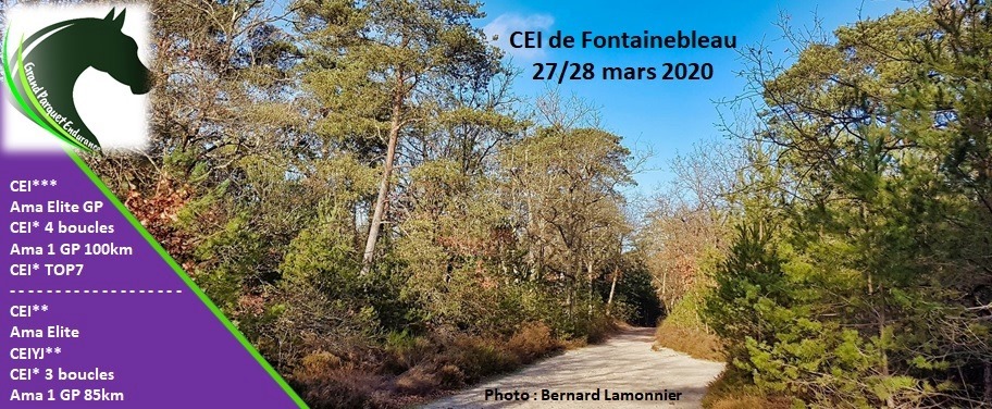 Course de Fontainebleau (77)