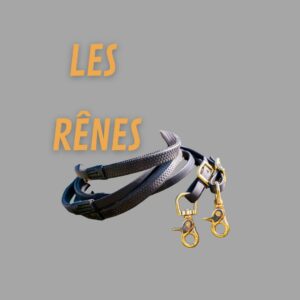 Rênes