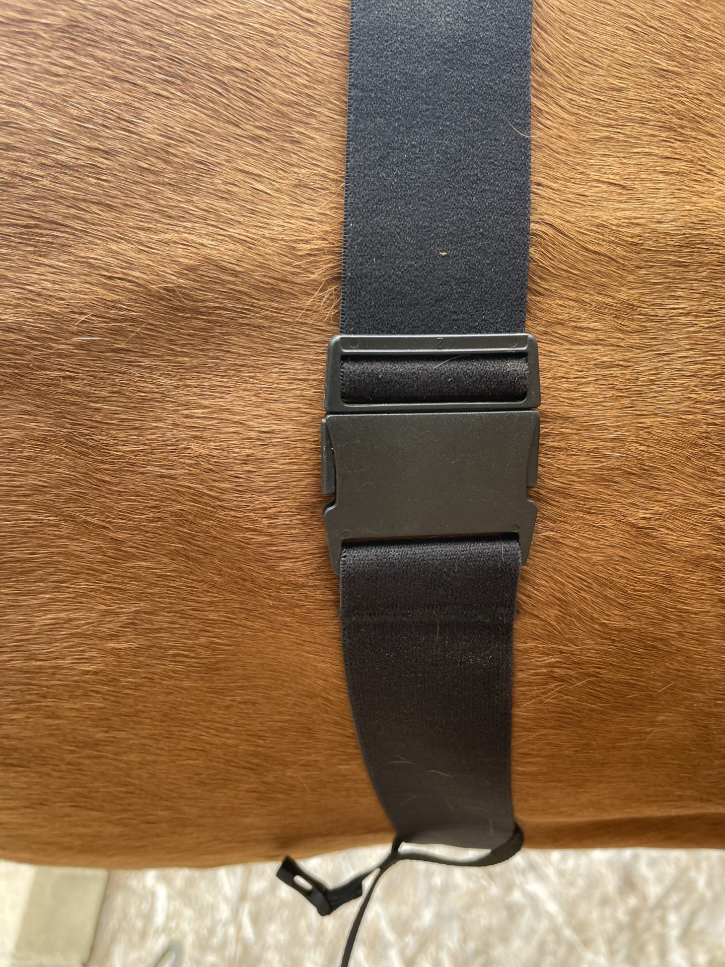 ceinture cardiaque clip