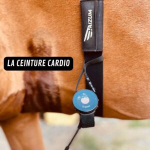 Ceinture cardiaque équine Hai Pulse