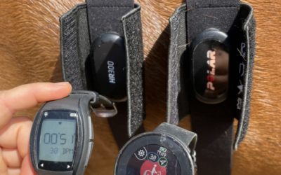 Quels combos montres GPS/capteurs pour pratiquer l’endurance équestre ?