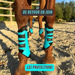 Protections Hai Boots