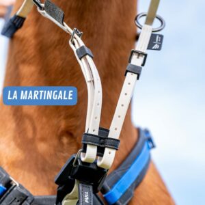 Martingale