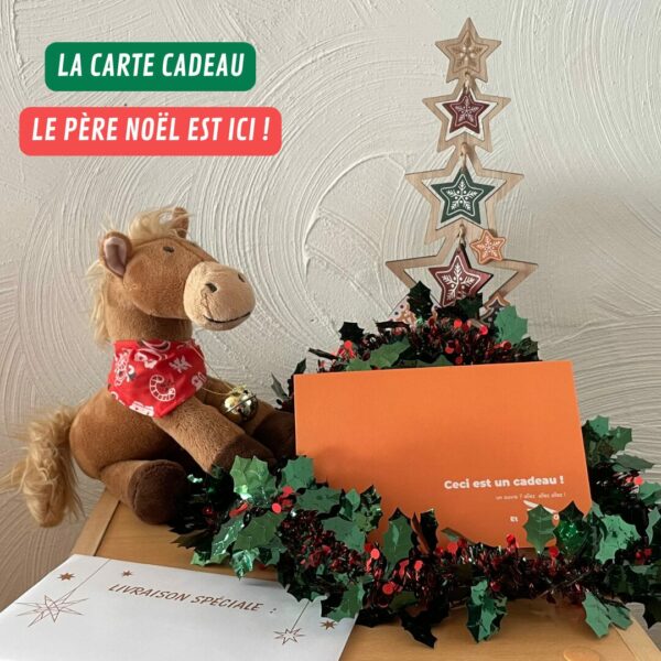 Carte cadeau