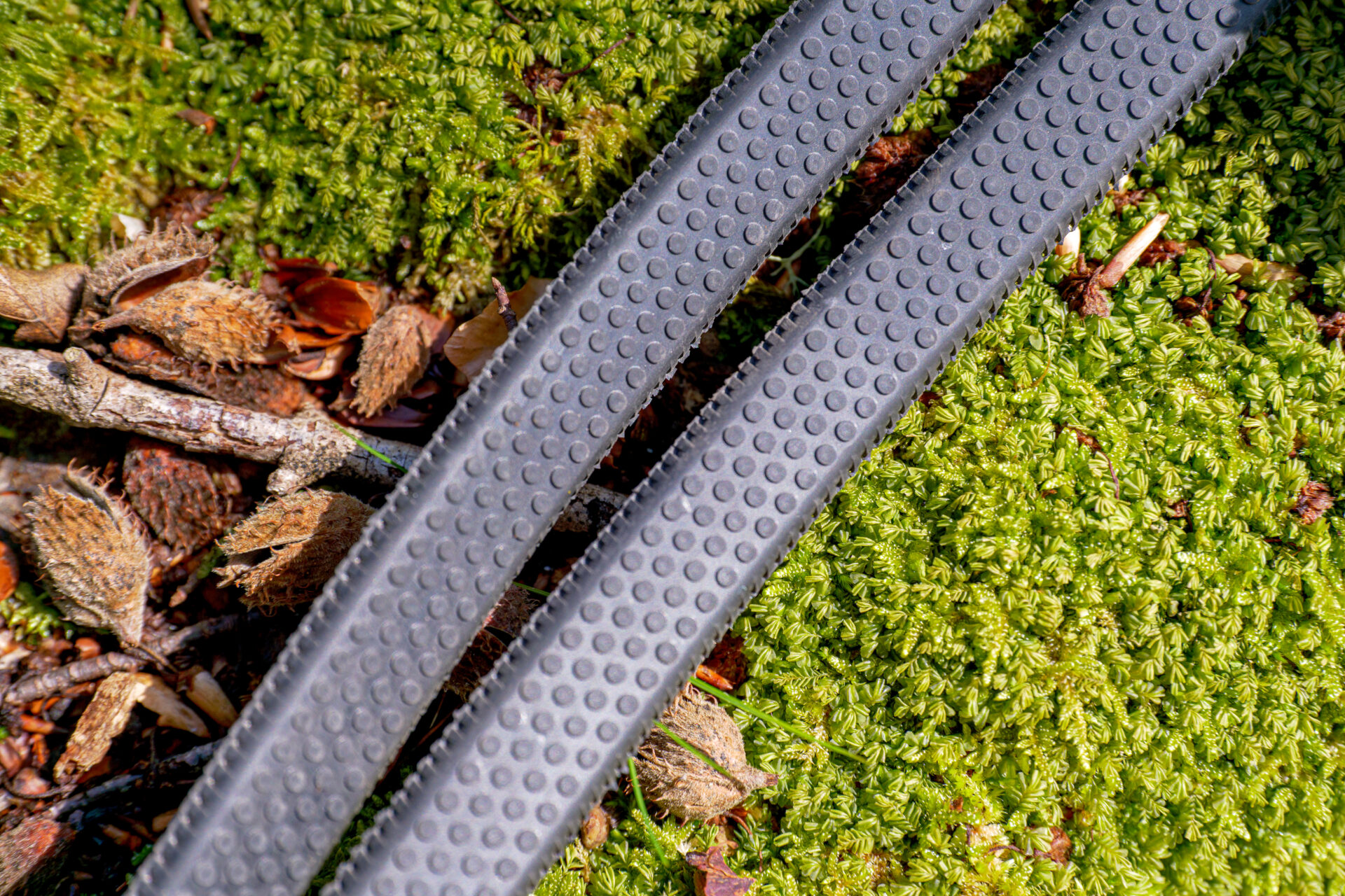 P1060149 Les bridons licols en synthĂ©tique peuvent aussi exister en coloris noir ou marron, plus ânatureâ.