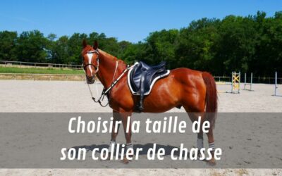 Choisir la taille de son collier de chasse