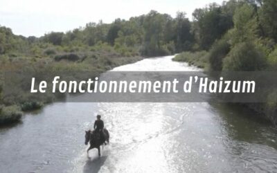 Comment fonctionne Haizum ?