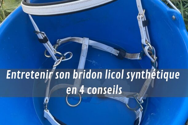 Entretenir le matériel d’équitation en synthétique en 4 conseils