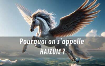 Pourquoi Haizum?