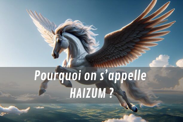 Pourquoi Haizum?