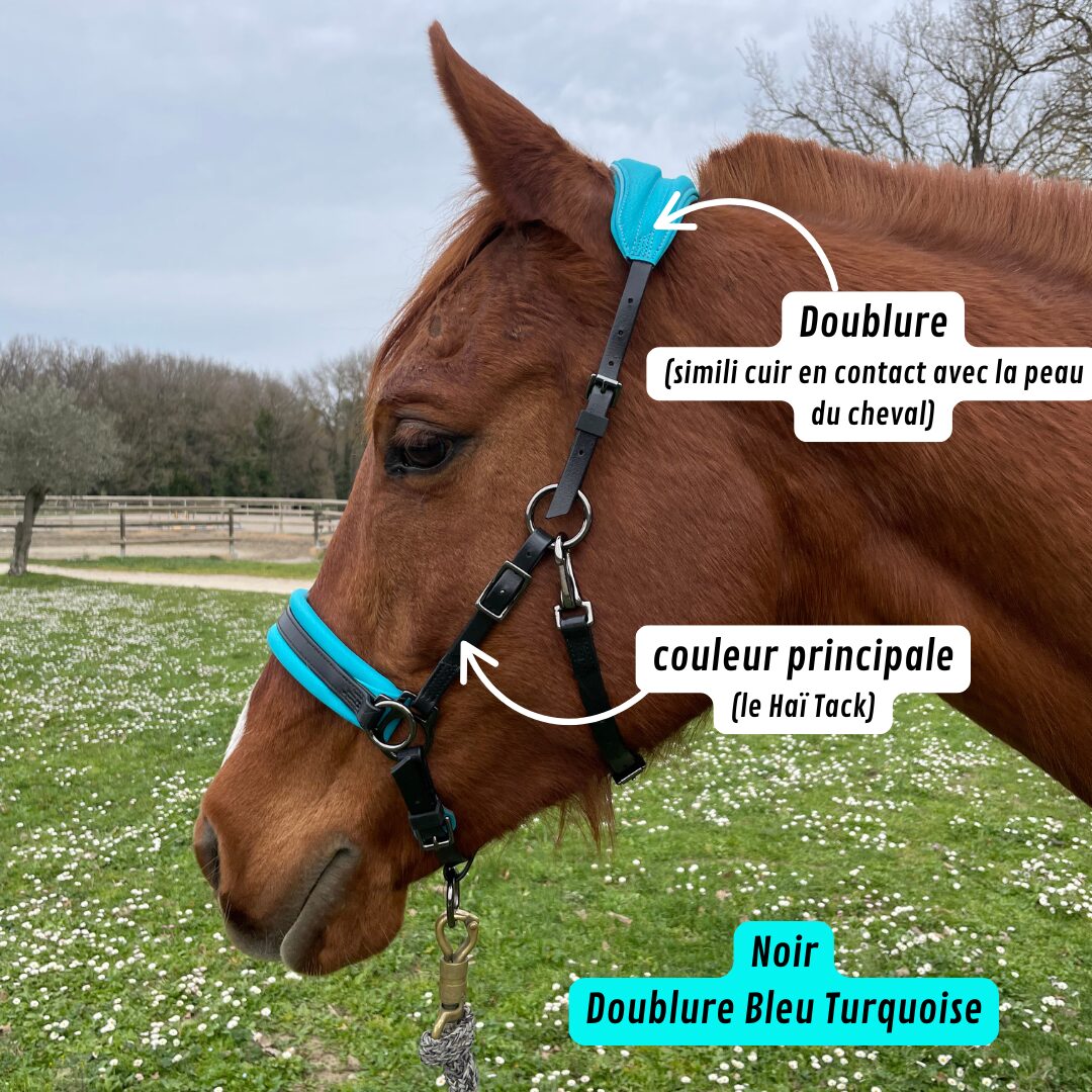 Haixplorateurs-3