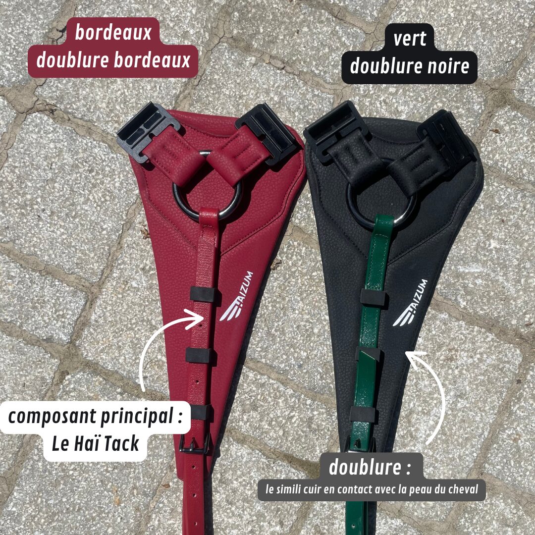doublure colorée collier de chasse Haixplorateurs-3