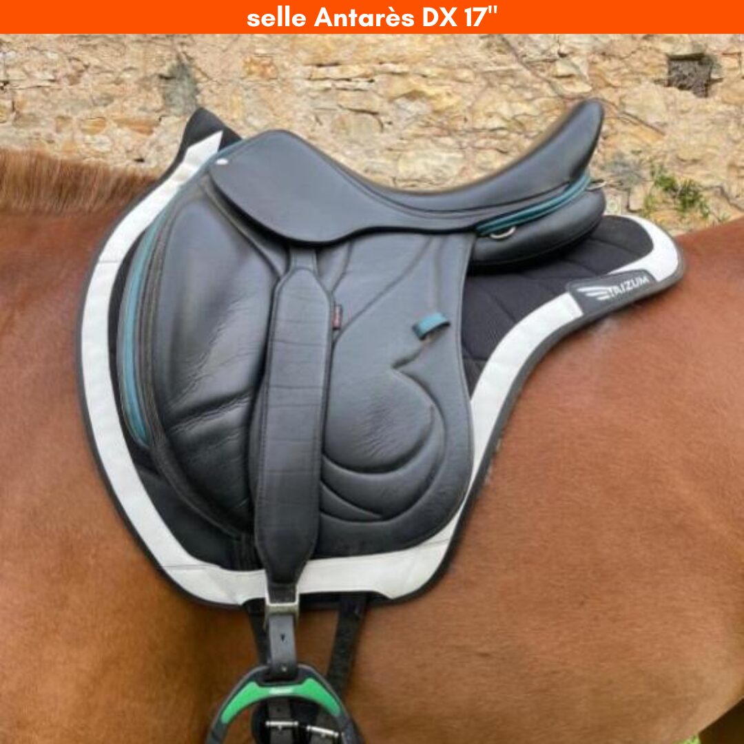 tapis et selle antares DX 17