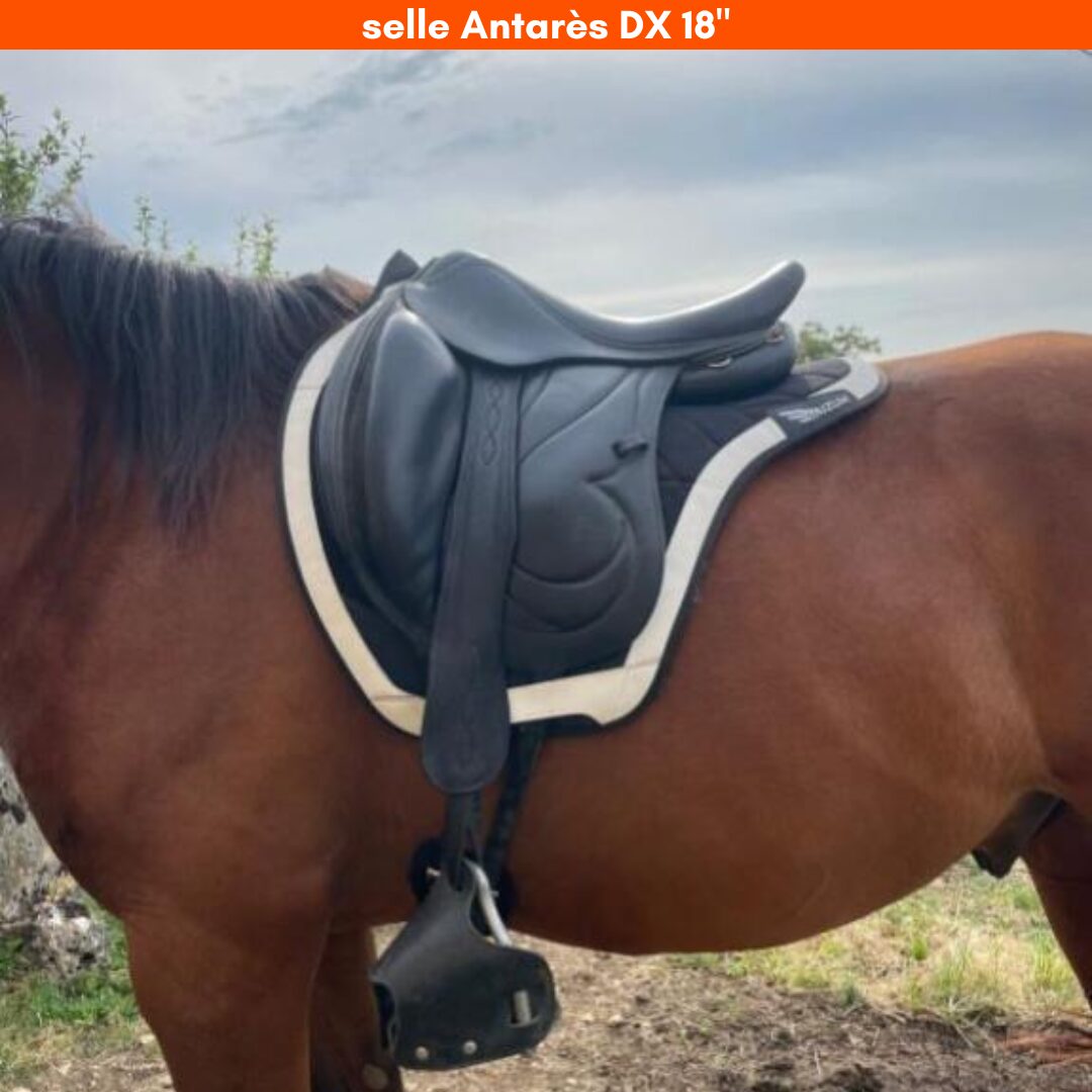 tapis et selle antares DX 18