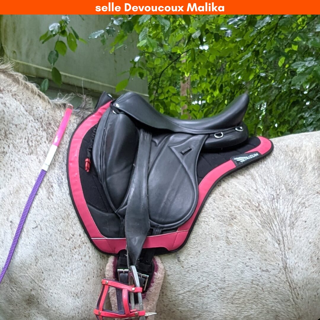 tapis et selle devoucoux malika