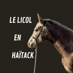 licol en haitack