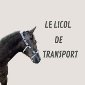 licol de transport