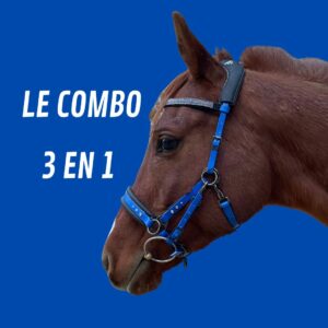 Combo side-pull bridon licol 3 en 1