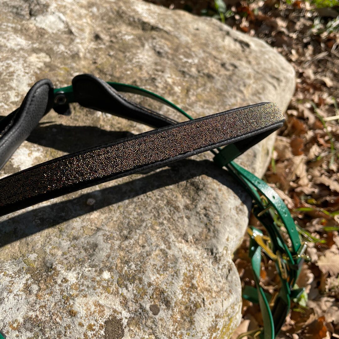 format carré licol transport Prototypage