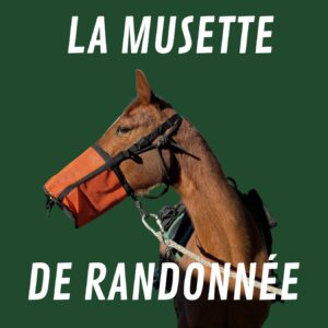 Musette randonnée