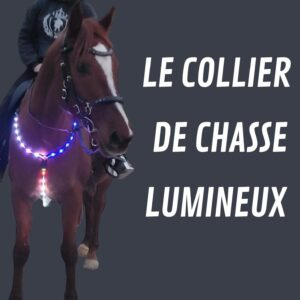collier de chasse lumineux